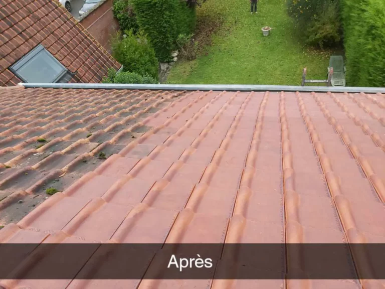 photo_toiture_tuile_apres_nettoyage