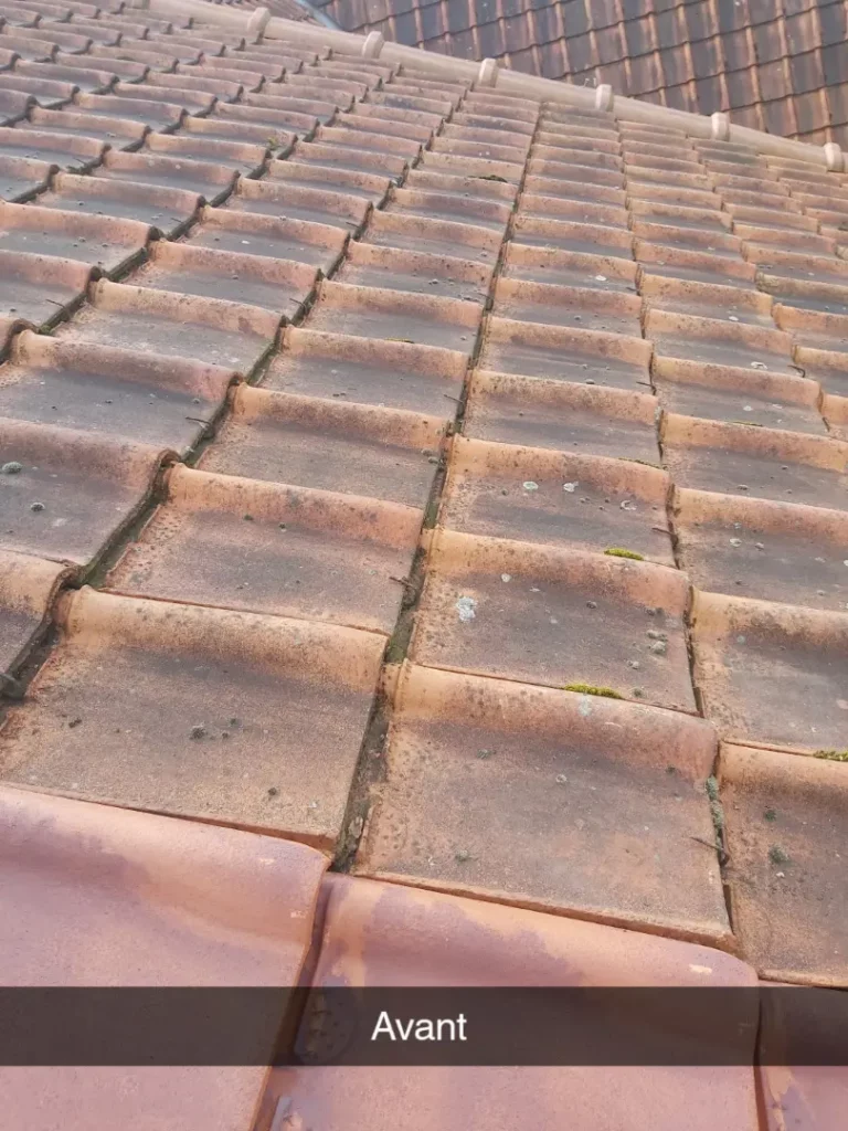 photo_toiture_tuile_avant_nettoyage